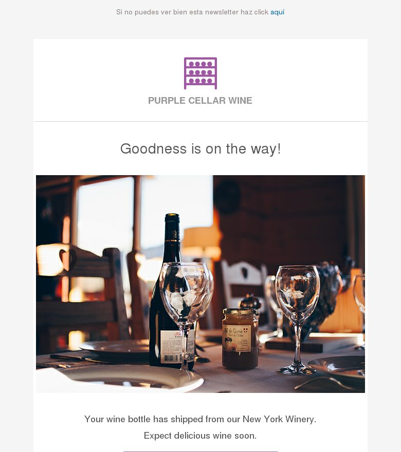 Plantilla email marketing Vinos