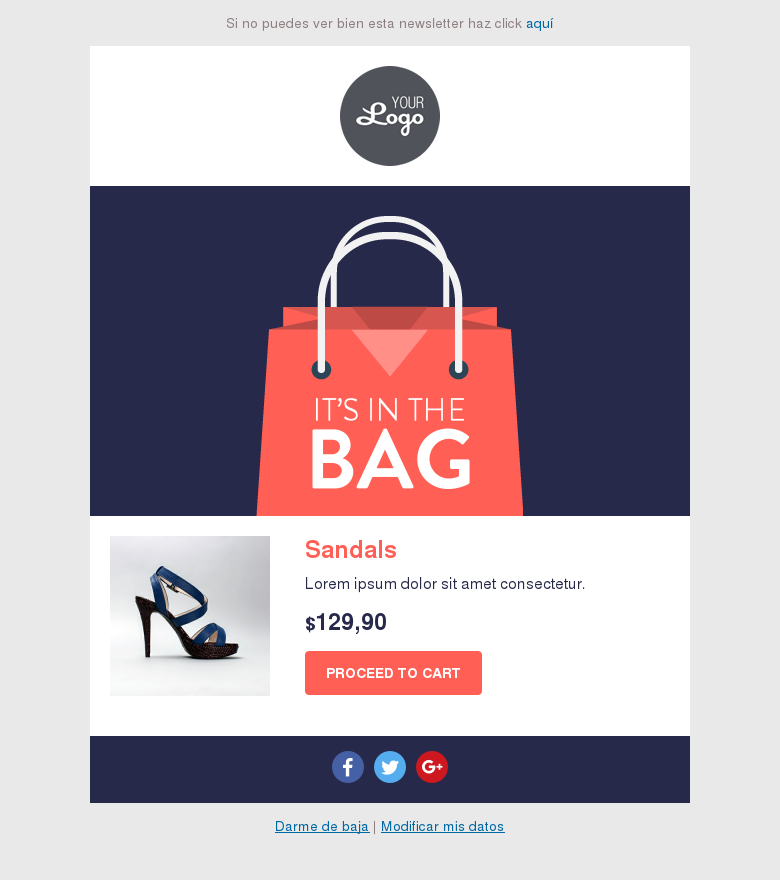 Plantilla email marketing Ecommerce bolso