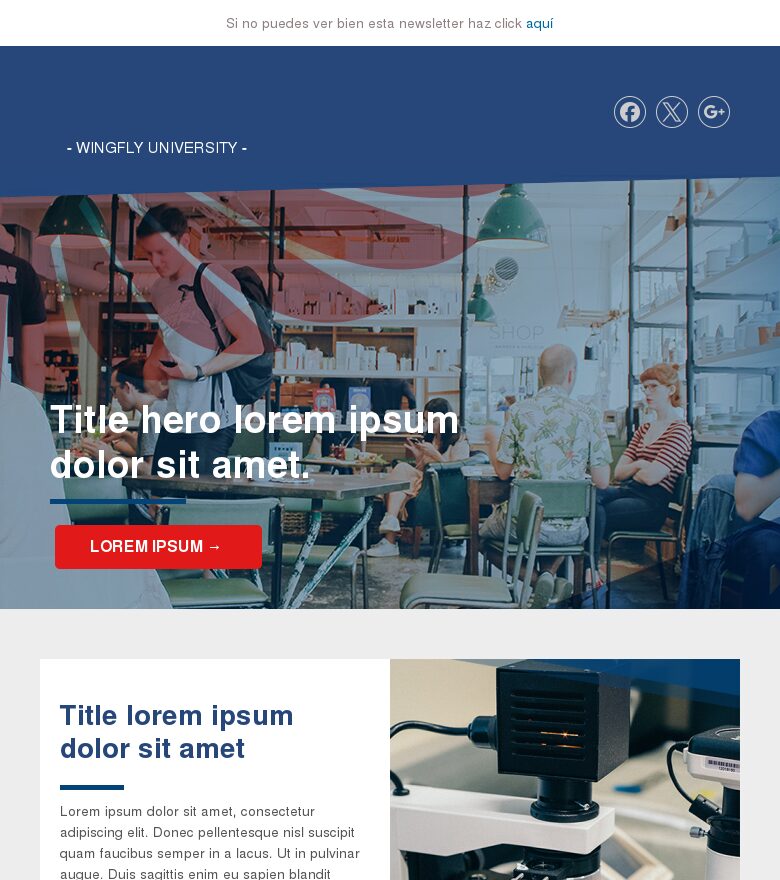 Plantilla email marketing Universidad