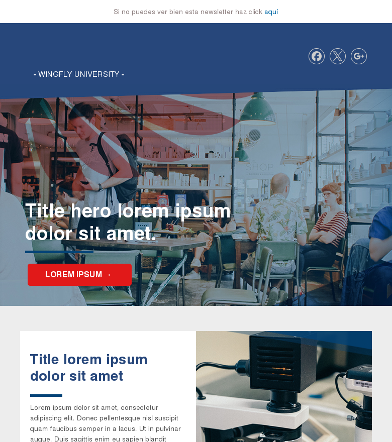 Plantilla email marketing Universidad