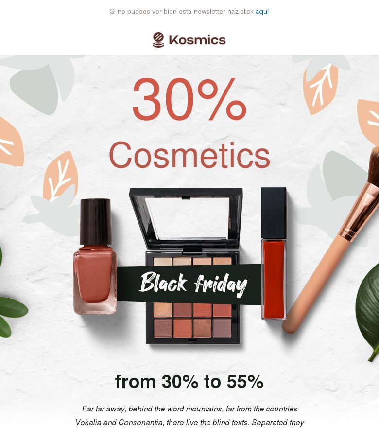 Plantilla email marketing Black Friday #11