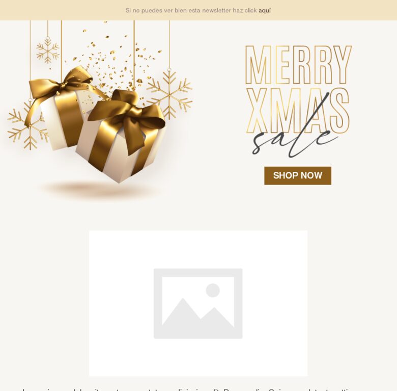 Plantilla email marketing Navidad #6