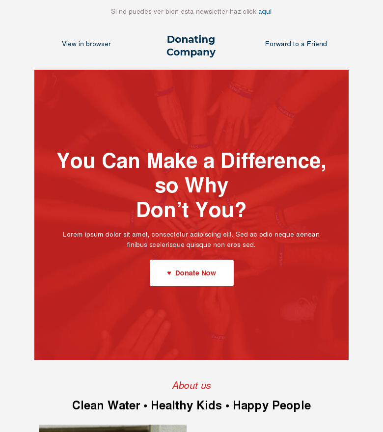 Plantilla email marketing Fundraising non profit