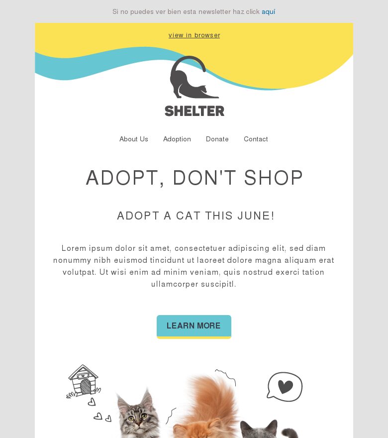 Plantilla email marketing Adopta un gato este junio
