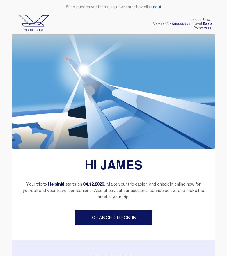 Template email marketing Detalles del vuelo