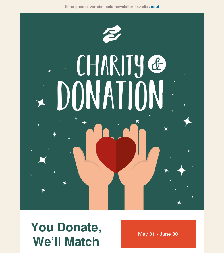Plantilla email marketing Charity donation