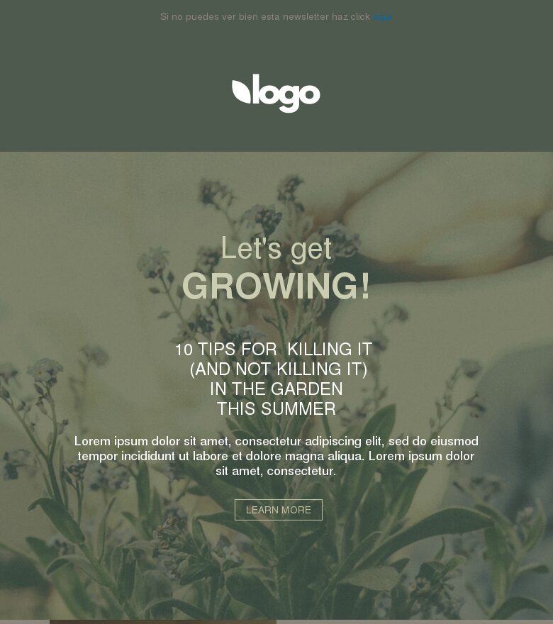 Plantilla email marketing Vamos a crecer