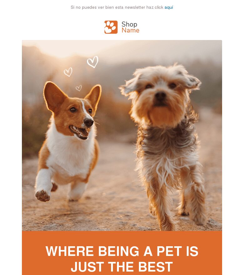 Plantilla email marketing Tienda de mascotas