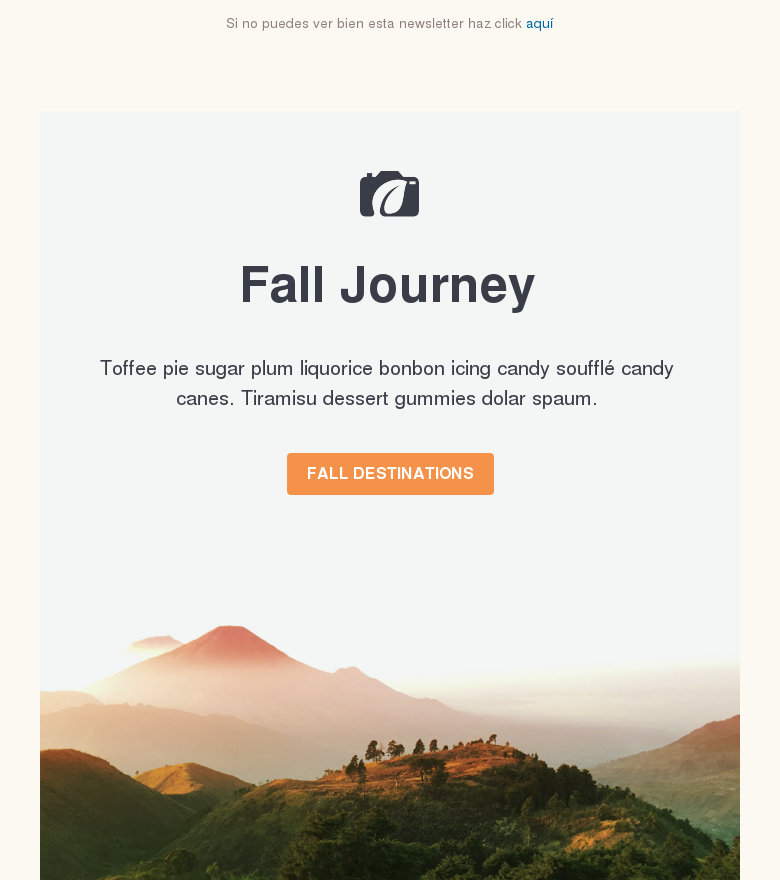 Plantilla email marketing Fall journey