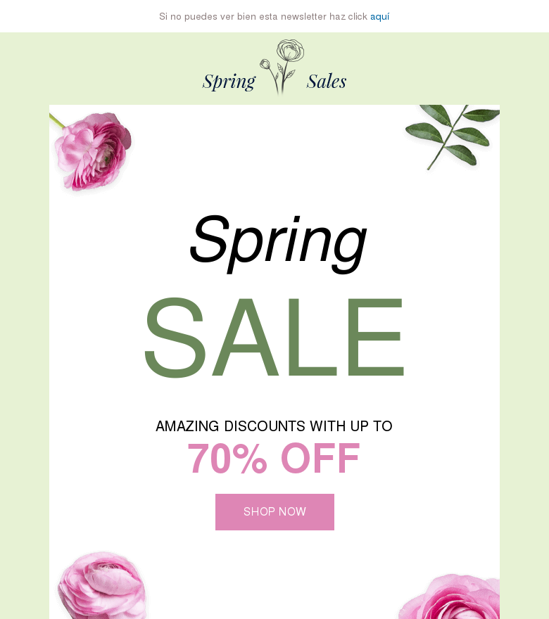 Template email marketing Spring sale