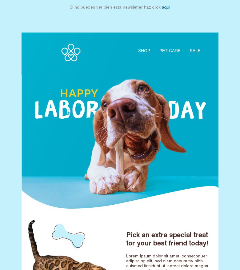 Plantilla email marketing Oferta del Día del Trabajo en la tienda de mascotas