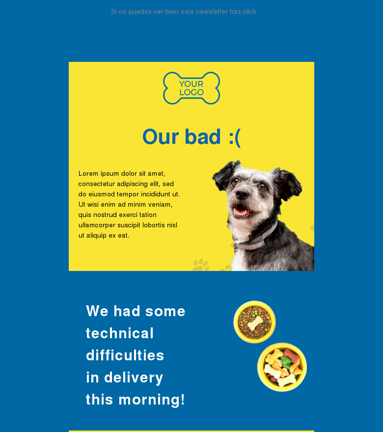 Plantilla email marketing Oops apology message