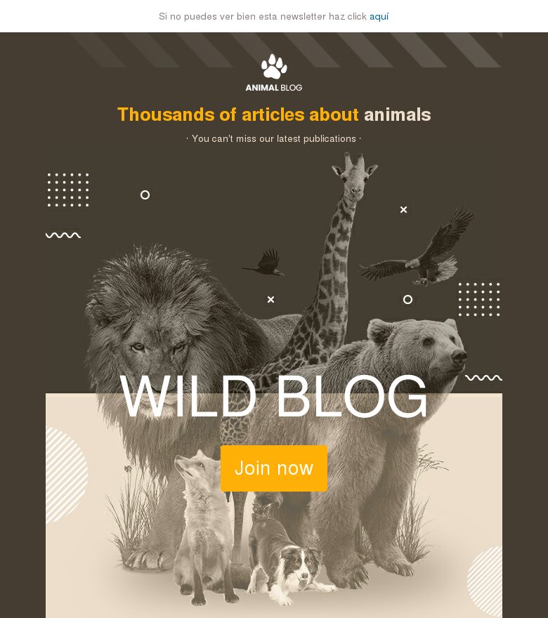 Plantilla email marketing Blog salvaje