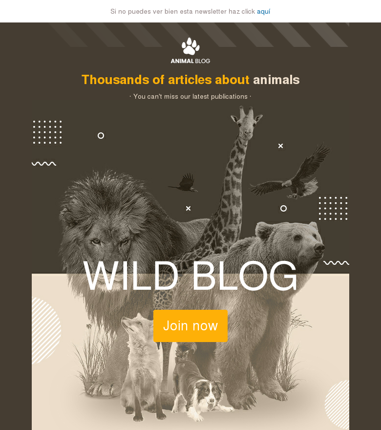 Plantilla email marketing Wild blog