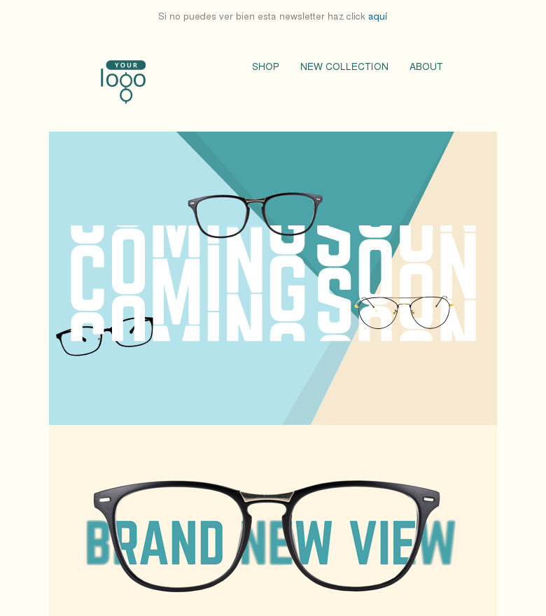 Plantilla email marketing Brand new view