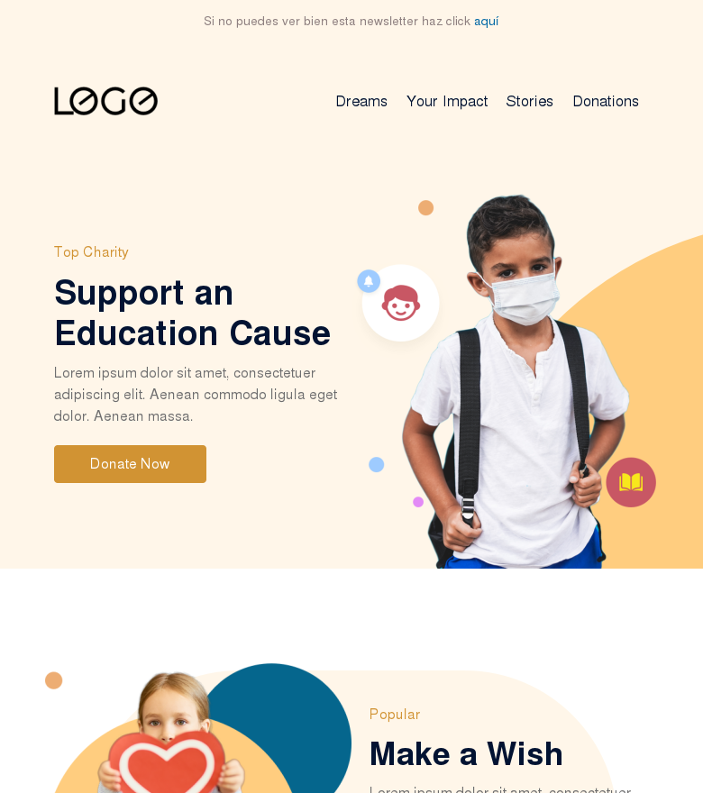 Plantilla email marketing Donate today