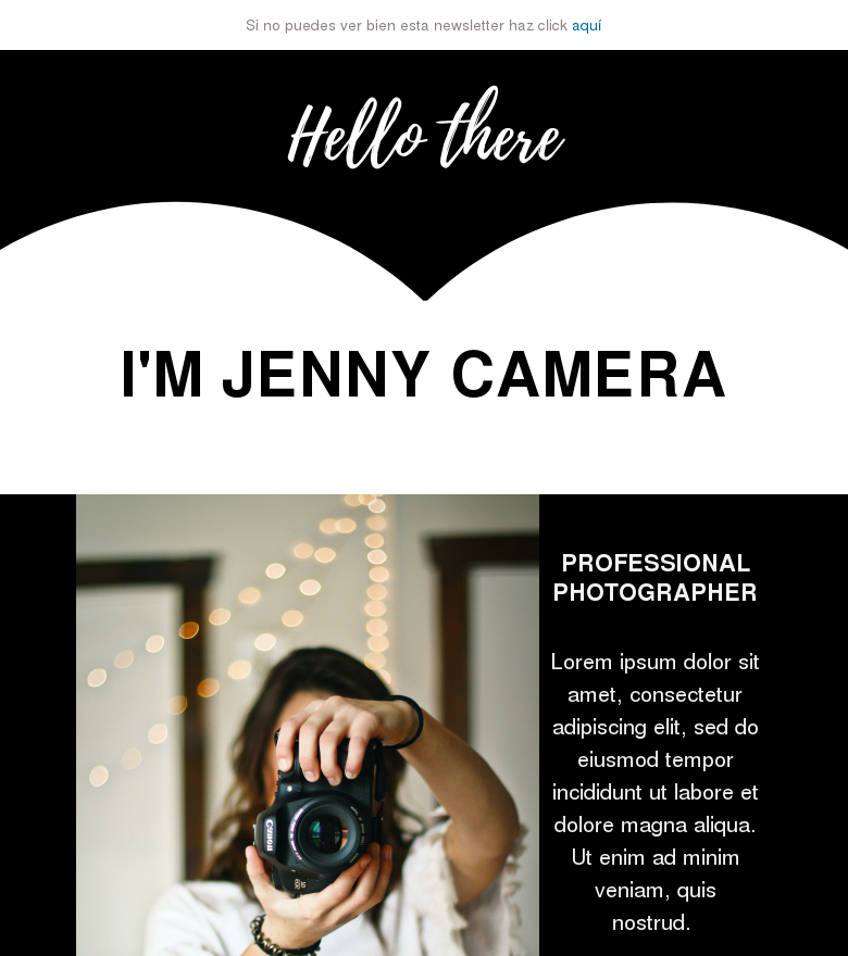 Template email marketing Hello there cv