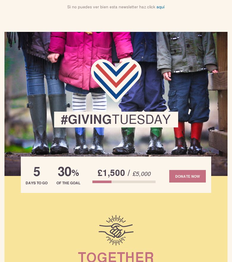 Plantilla email marketing Recaudación del Giving Tuesday