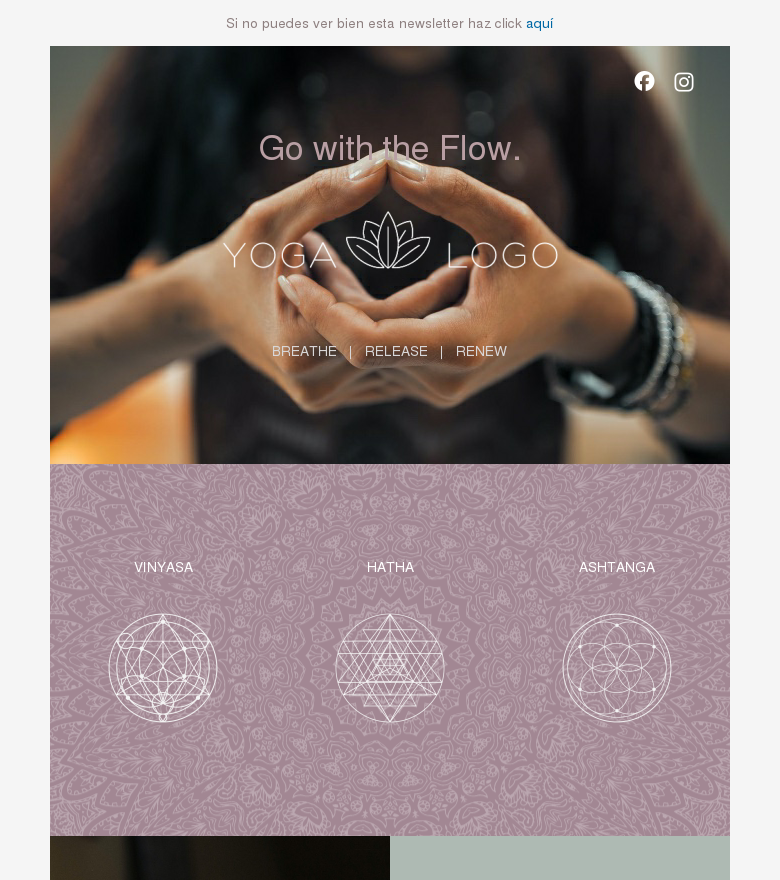 Plantilla email marketing Go with the flow