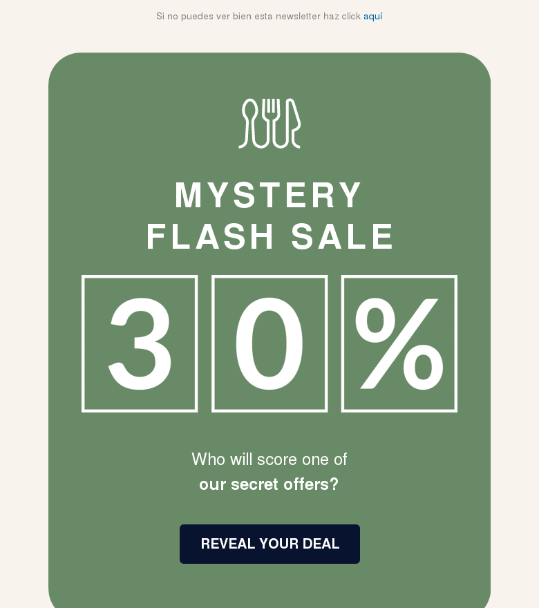 Plantilla email marketing Mystery flash sales