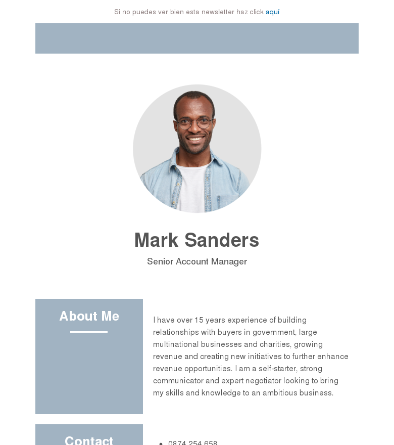 Plantilla email marketing Cv template 2