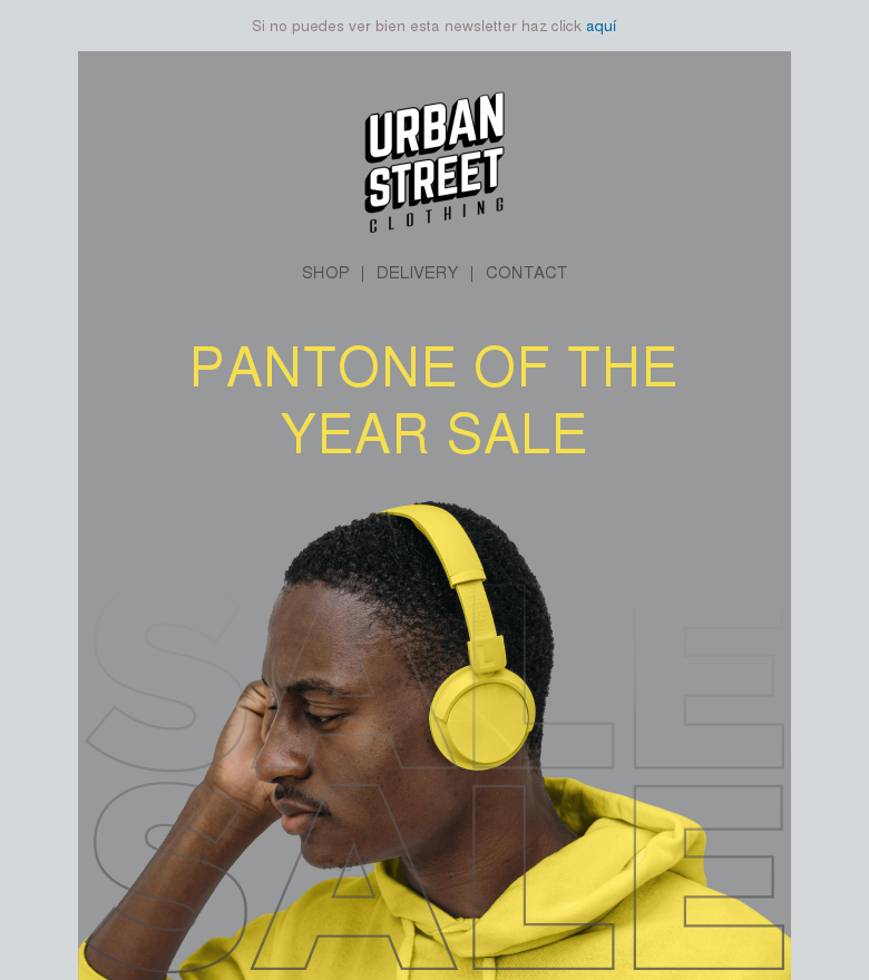 Plantilla email marketing Pantone of the year sale