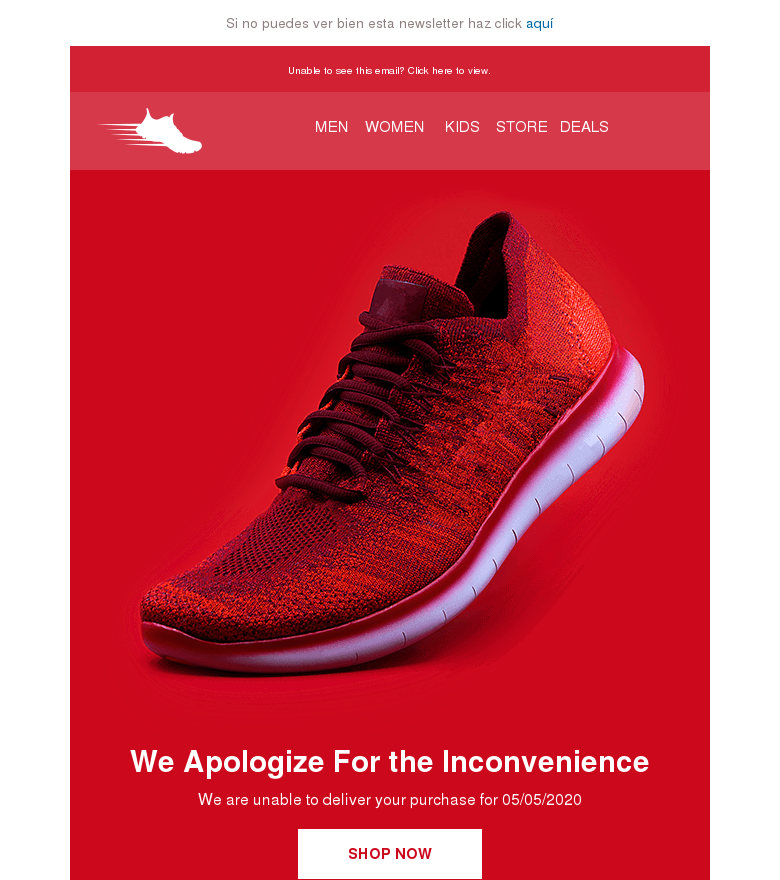 Plantilla email marketing Apologize email