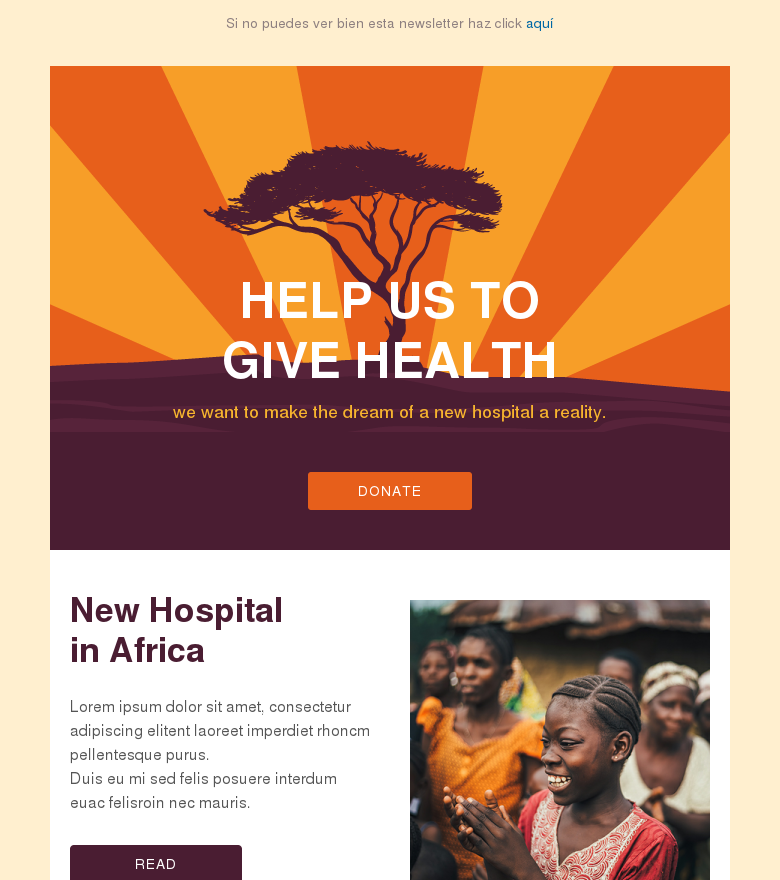 Plantilla email marketing Non profit fundraising africa