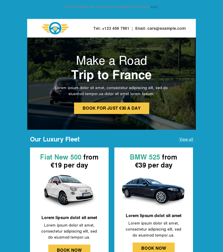 Plantilla email marketing Rent a car