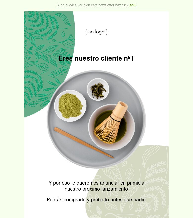 Plantilla email marketing Cliente VIP