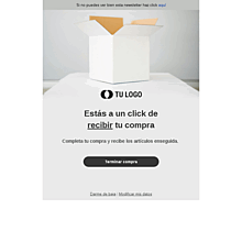 Plantilla email marketing Carrito 2-3