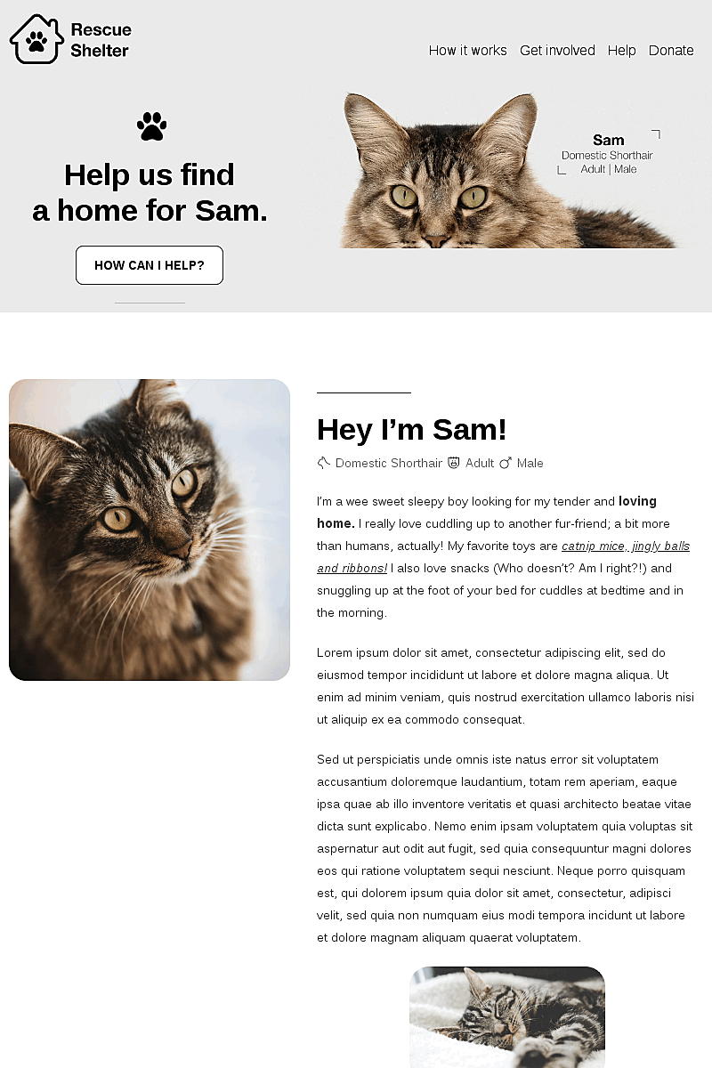 Template Cat adoption