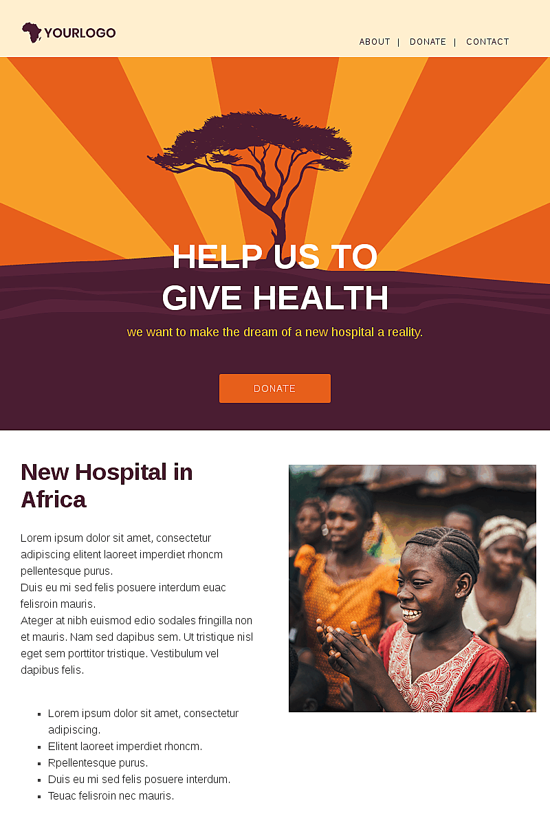 Template Non profit fundraising africa page